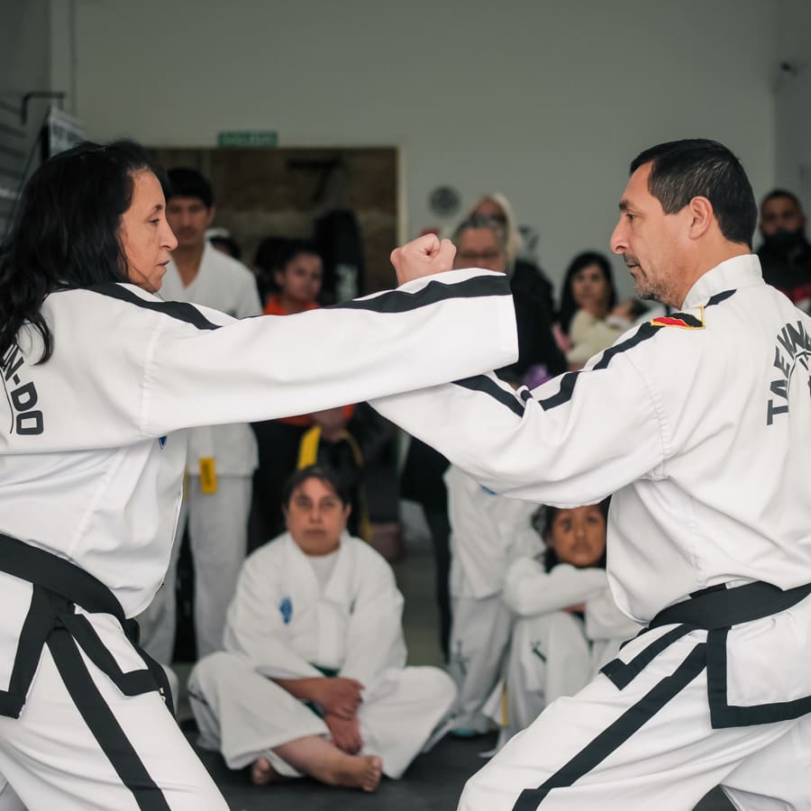 foto seminario de Taekwon-do